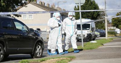 Rossfield Tallaght deaths: Heartbroken neighbour who knew victims says 'no child deserves this'