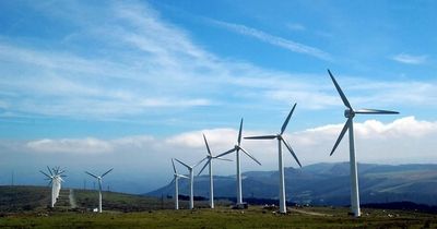 Energy firm offering households chance to buy own windfarm for £1,000