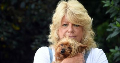 Woman whose dog was mauled to death in pit bull attack hit with 'immoral' £3,000 bill