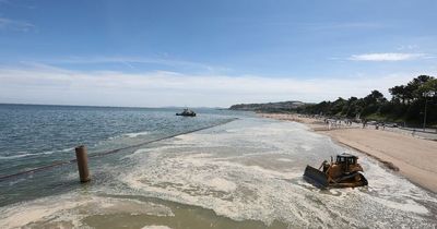 The new man-made 'Welsh Riviera' that people are calling the best beach around