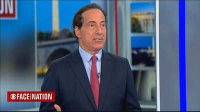 Raskin suggests Trump movement shows "hallmarks of a fascist political party"