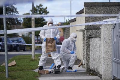Three siblings killed in violent incident in Dublin named