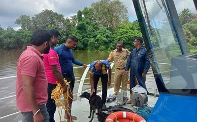 Dog rescued from Kaniampuzha river