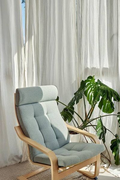 Four viral plant health trends that could destroy your beloved house plants