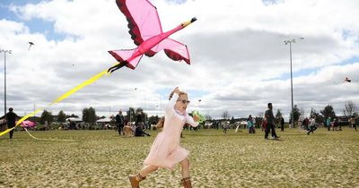 Community rejoices as rainbow of kites dominates skies after COVID hiatus