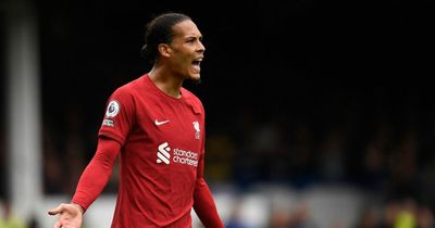 'It’s a violent act' - Virgil van Dijk told he should have seen red for Everton challenge