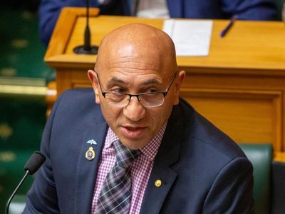 Kiwis 'could join Ukraine revenge mission'