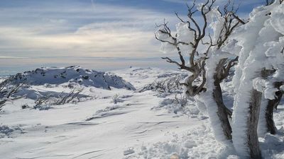 Emergency services search for missing back-country skier in Kosciuszko National Park