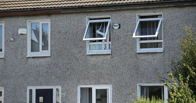 Horrified neighbour of Tallaght siblings stabbed to death saw child dangled from window