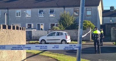 Neighbours' horror as child 'dangled from window' as Tallaght community in mourning
