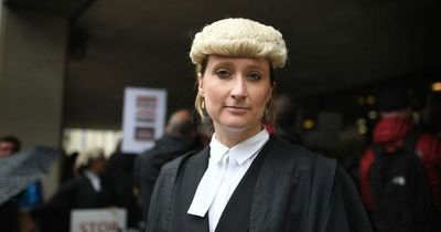 Sexual assault victims 'devastated' and barristers at 'breaking point'