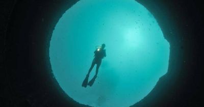HMAS Adelaide wreck: $114,000 to keep Central Coast dive site alive