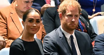 Prince Harry and Meghan to be protected by ‘ring of steel’ during anticipated UK visit