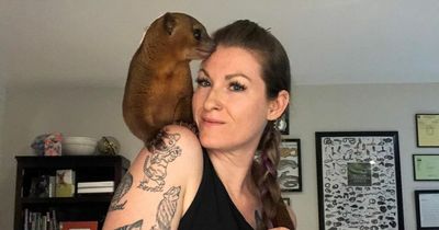 Woman has ashes of dead pets tattooed into her skin so she can 'carry them with me forever'