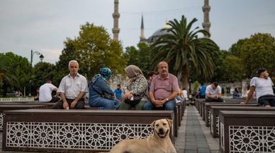 Türkiye’s Annual Inflation Passes 80% After Interest Rate Cut