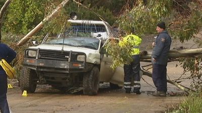 Mother describes tree falling on son, as ex-partner faces manslaughter trial