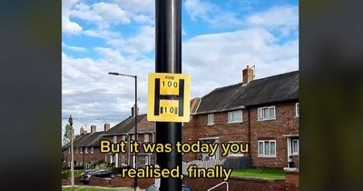People are finally realising what the H signs on lampposts mean - and it isn't for helicopter