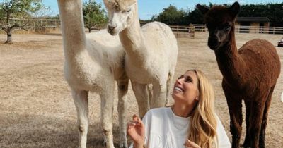 Stacey Solomon shares realities of motherhood before spending last day of summer at Mrs Hinch's home farm