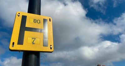 People left astounded after just finding out what 'H' signs on lampposts mean