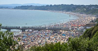 Energy crisis could lead to closure of businesses and 'irreparable harm' to tourism, warns Bournemouth boss