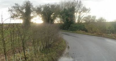 Woman and young boy die after car found submerged in roadside pond