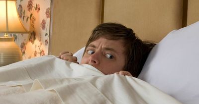 The number of spiders hiding in your home right now as spider season arrives