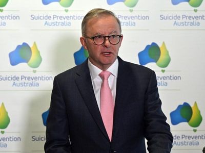 More needed to lower suicide rates: PM
