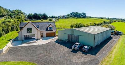 Bespoke Ayrshire village country home with shed, workshop and seven acres up for sale