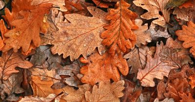 When do the clocks go back 2022, why do they change and when does autumn start?