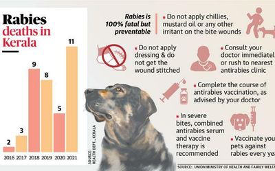 For Kerala, rabies preventive vaccine is worth exploring