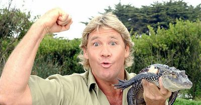 Strange mystery of Steve Irwin's death video that caught last moments on camera