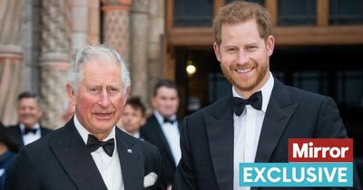 Prince Harry 'blames' Prince Charles for his anguish after Diana's death, says expert
