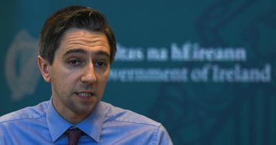 Simon Harris says CervicalCheck chief's comments were 'inappropriate, unfortunate, insensitive'