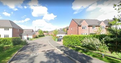 Dangerous drugs, including ketamine on board VW stolen from vet's home