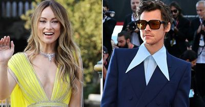 Smiling Harry Styles and Olivia Wilde arrive separately at Don't Worry Darling photocall