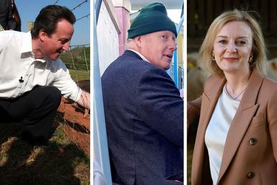 Greased piglets and Chinese pork markets: Are Tory fortunes made by porcine passion?