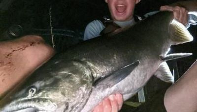 Chinook caught by a kayak angler out of Waukegan earns Fish of the Week honors