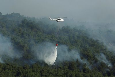 EU plans to build firefighting fleet faster after summer of climate crises