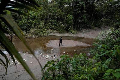 To preserve Amazon, indigenous groups call for debt forgiveness