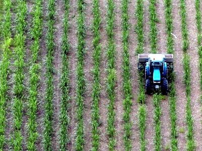 Precision compost could boost crop yields