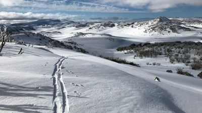 Search for missing skier in Kosciuszko National Park enters third day