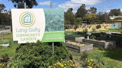 Community spirit, new families and tree-changers drive change in Long Gully