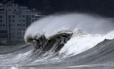Typhoon leaves 20,000 homes without power in South Korea