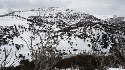 Body of skier found in Snowy Mountains on third day of police search in Kosciuszko National Park