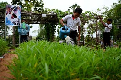 School gardens a lifeline for hungry Cambodian children