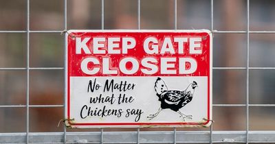 Protection zone in place after sixth case of bird flu detected in Wales