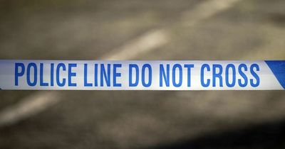 Man dies after being shot by armed police in London