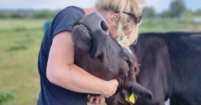 Wirral mum sets up own animal sanctuary and now cares for more than 100 animals