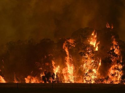 Insurer sued over bushfire-axed festival