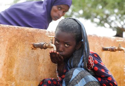 More than 700 children have died in Somalia nutrition centres, U.N. says